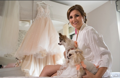 Wedding Flavia & Gianfranco  <br> <hr> Studio Fotografico Pellegrino - Lucera
